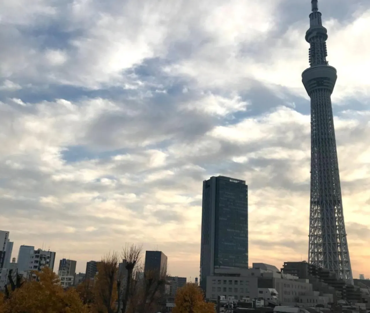 Sky Tree Inn Tokyo 0*,