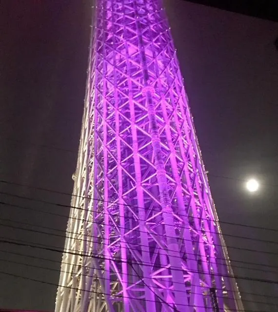 Sky Tree Inn Tokyo 0*,