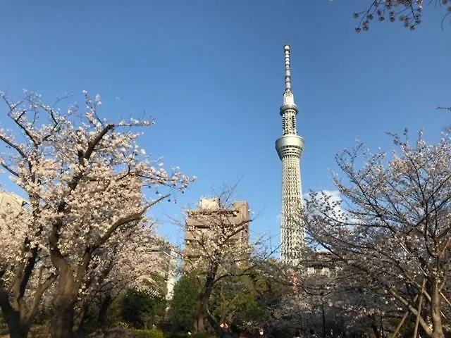 Sky Tree Inn Tokyo 0*,  Japan